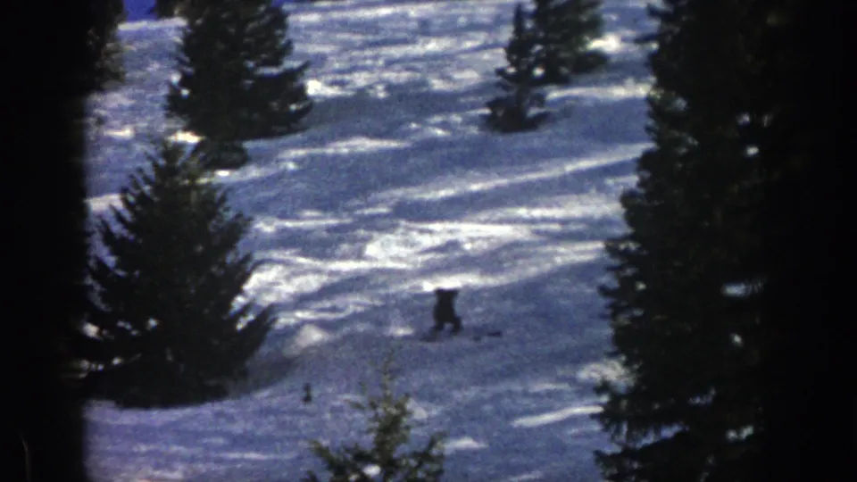 A dark-clad skier is seen farther down the 1961 Aspen slope, small against the snow and surrounding evergreens.