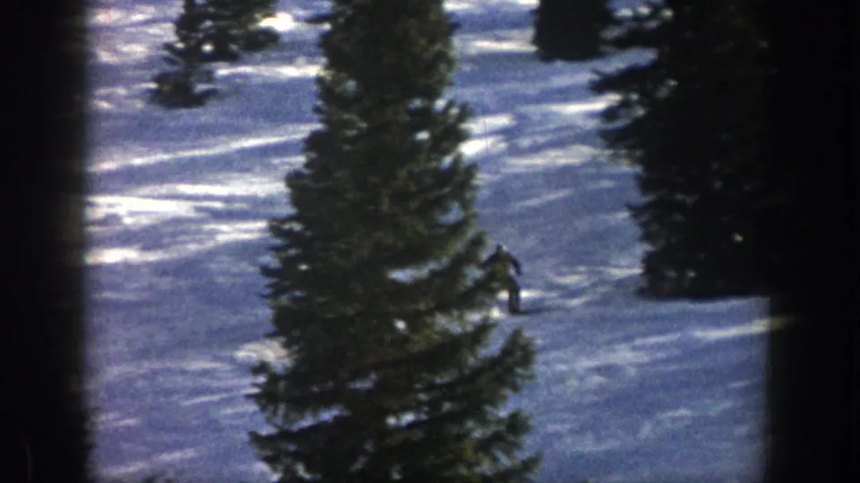 The skier passes close to a large evergreen on the Aspen hillside, with strong snow glare and dark tree framing.