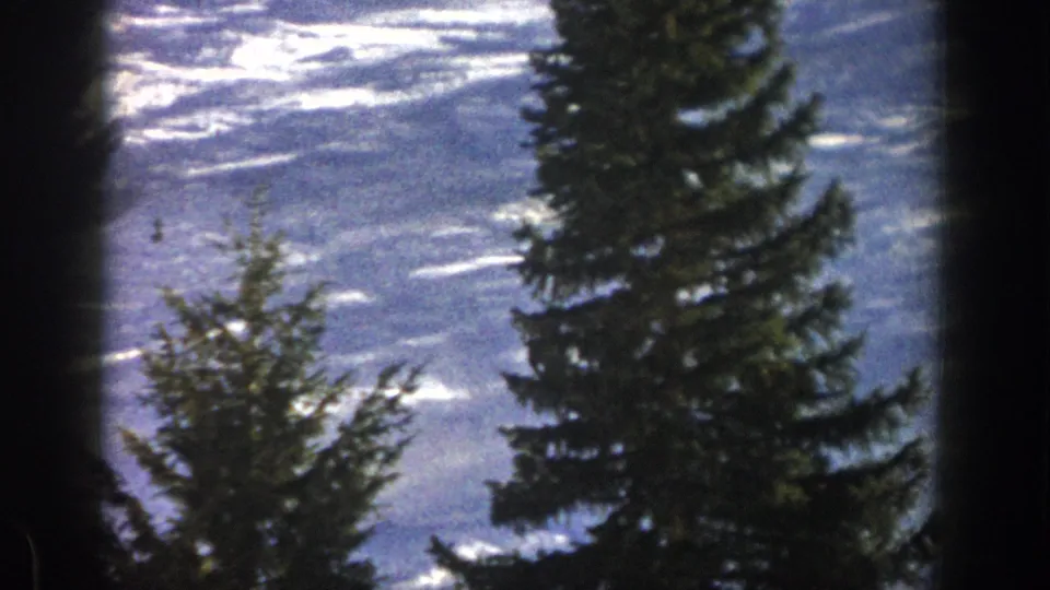 Tall evergreens and textured snow dominate this Aspen ski-slope frame from 1961 home-movie footage.