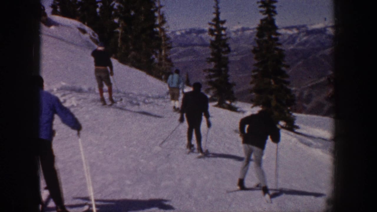 Several skiers descend a snowy trail bordered by evergreen trees and distant mountains.