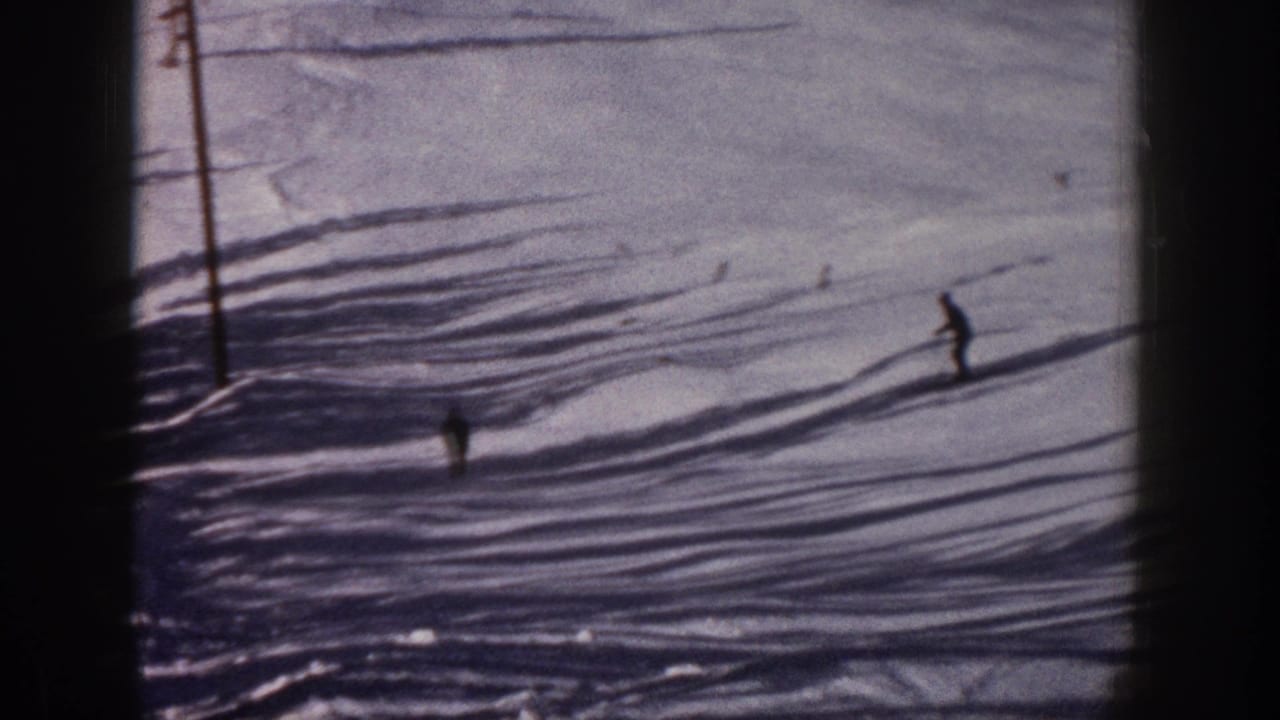 A skier descends a snowy slope near long tree shadows and a vertical pole.