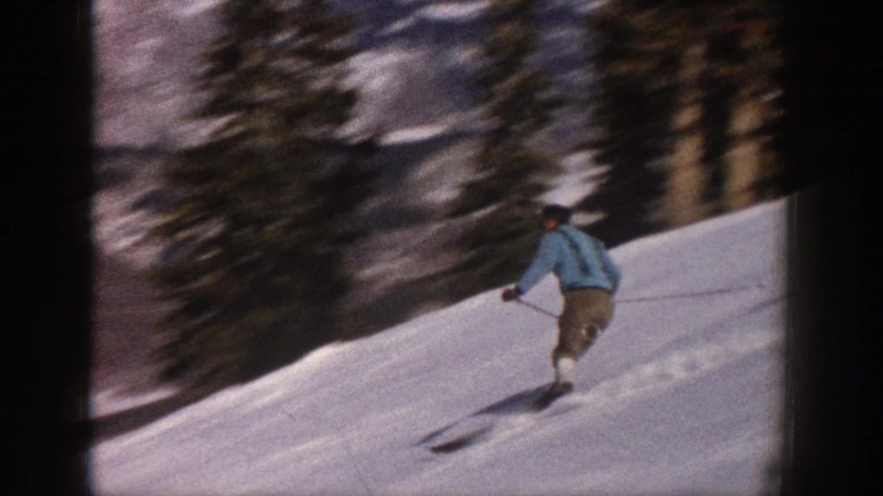 Skier in a blue jacket descends a snowy slope beside evergreen trees.