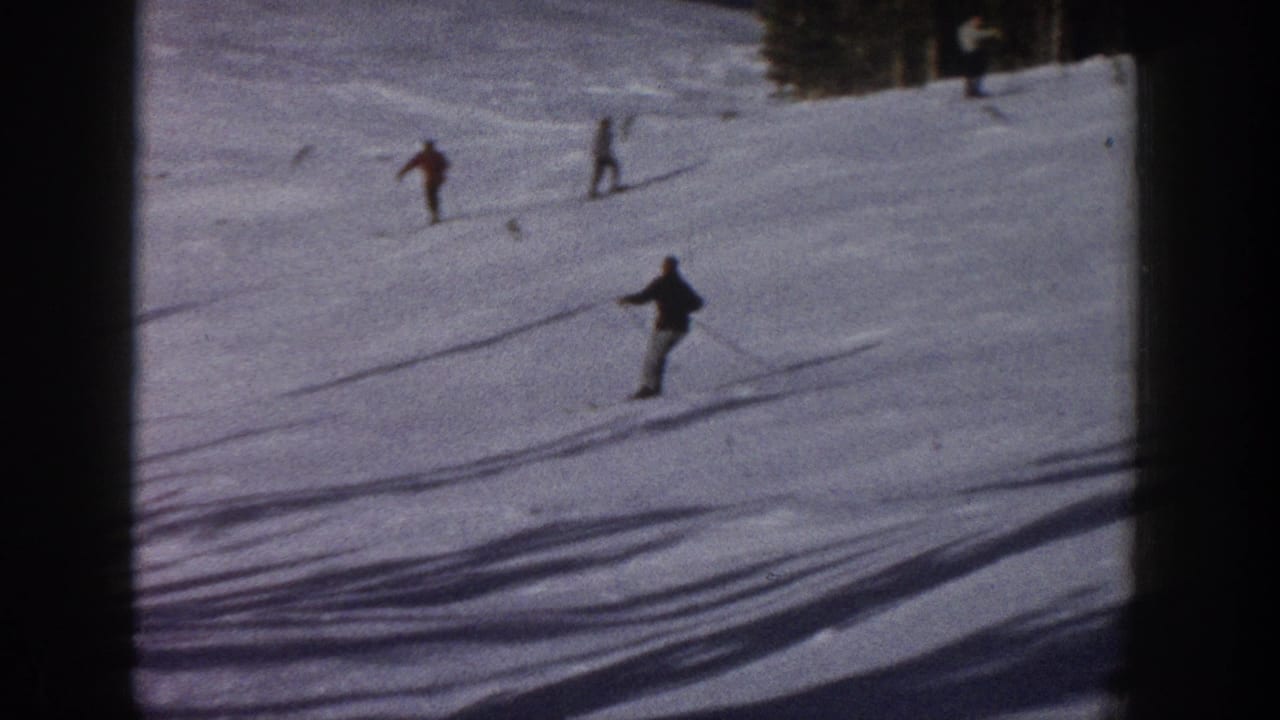 Several skiers descend a snowy slope with long shadows and dark trees at the top edge.