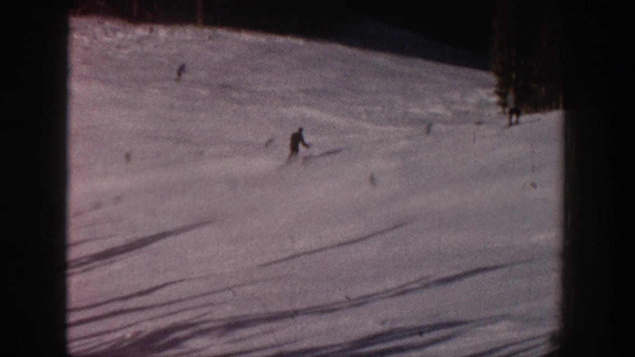 A skier turns downhill on a broad snowy run with trees at the edge.