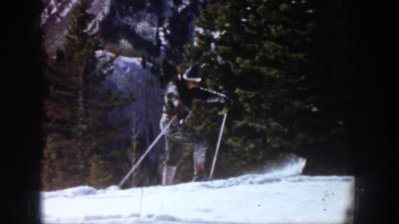 Skier with poles stands on a snowy slope beside evergreen trees.