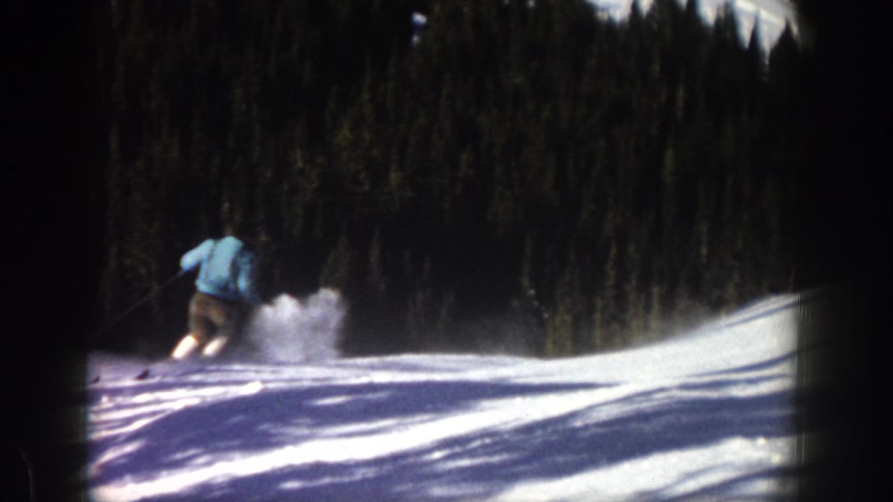 Skier turns downhill, raising a powder cloud on a bright slope with forest in back.