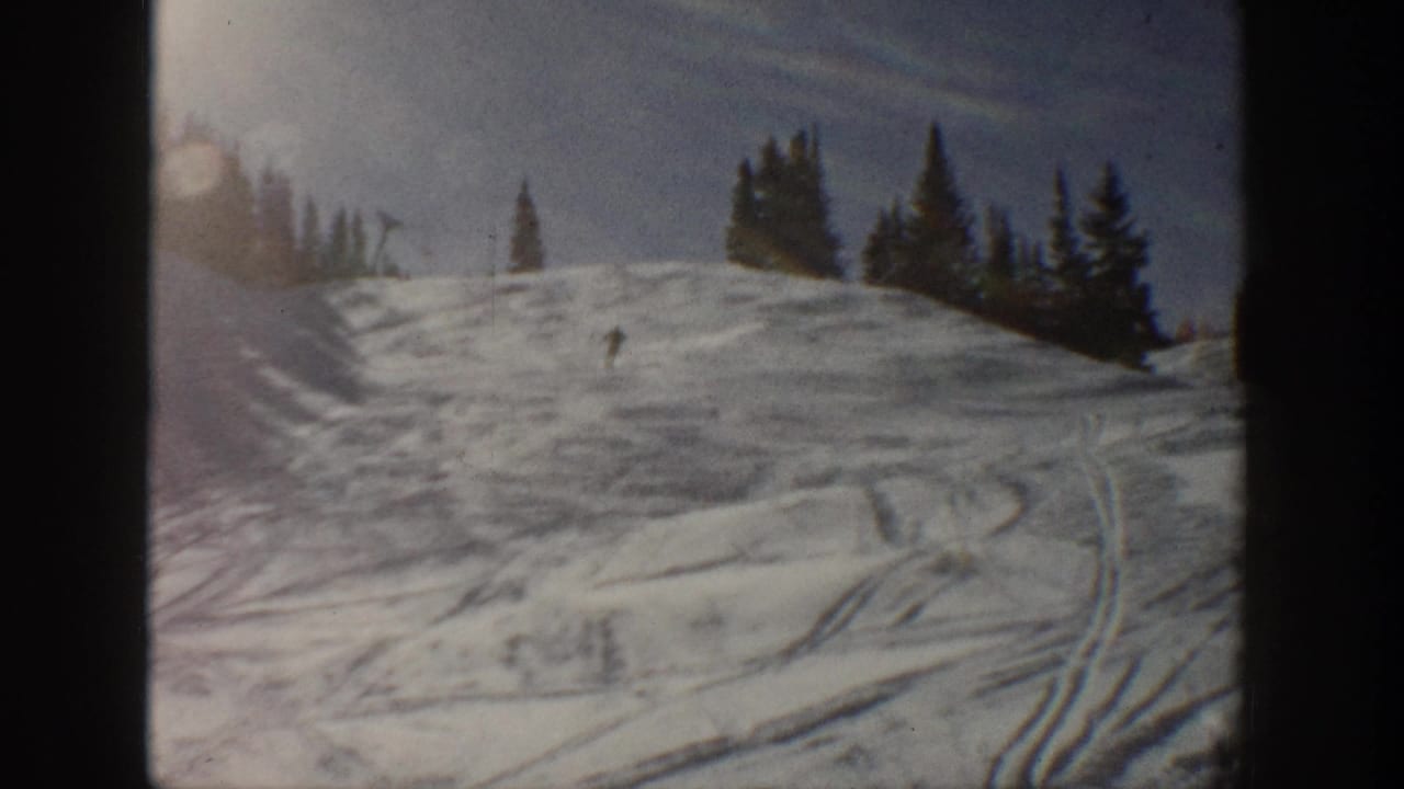 Lone skier on a snowy slope below pine trees and blue sky.