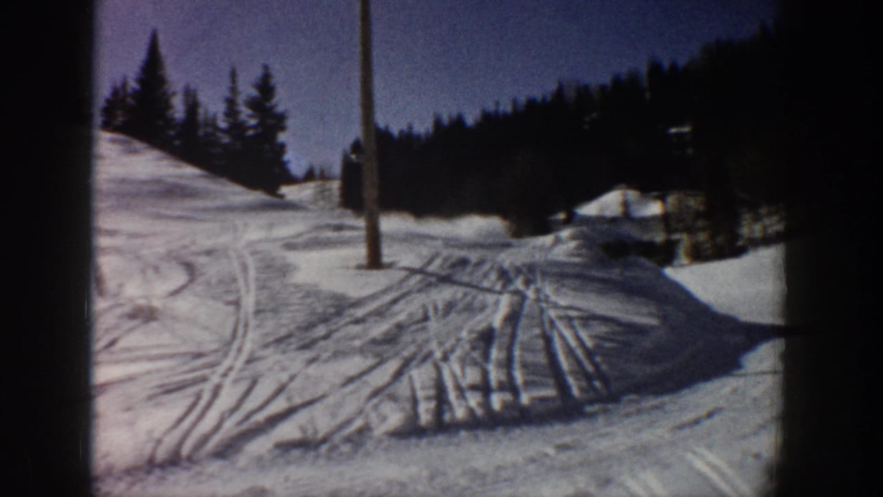 Snowy hillside with ski tracks, evergreen trees, and a wooden pole.