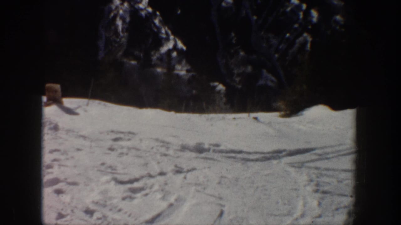 Snowy ski slope with tracks and dark trees at the top of the frame.