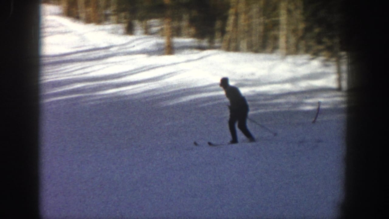 Distant skier crosses a sunlit snowy slope bordered by trees.