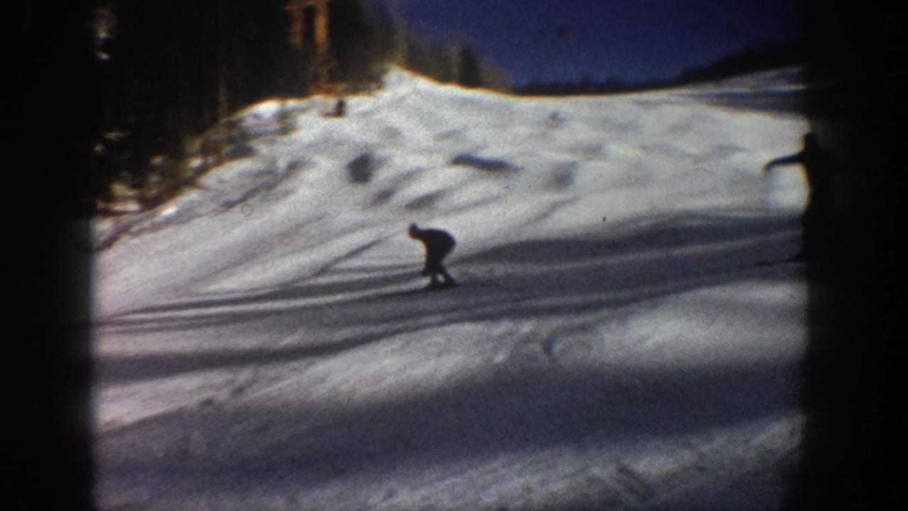A skier descends a bright snowy hill near a dark tree line.