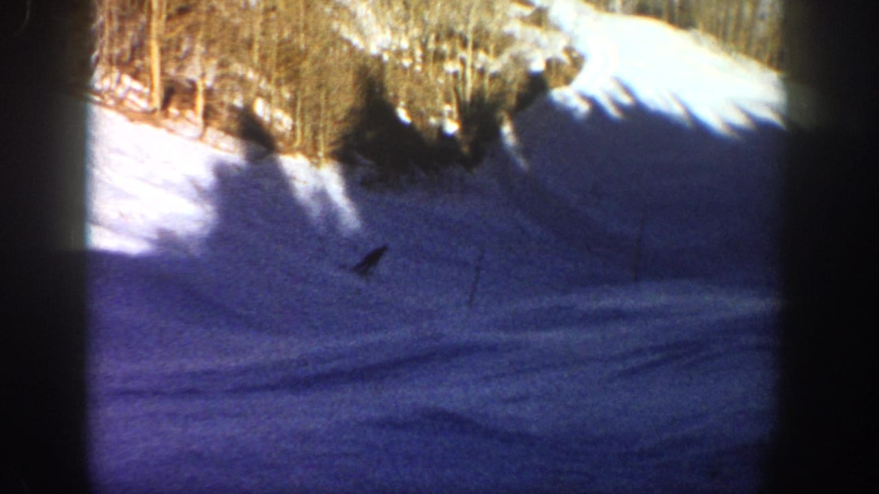1961 Aspen home-movie frame with a dark skier silhouette low on a steep slope, ski tracks, trees, and strong sun-shadow contrast.