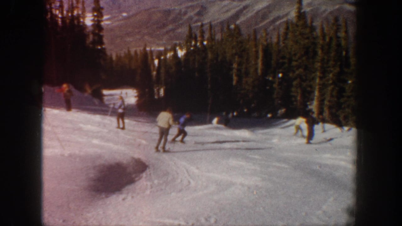 Several skiers move across a broad snow slope with trees behind them.