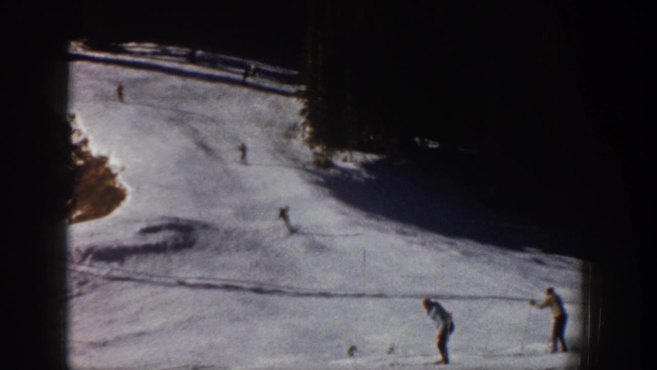 Skiers descend and stand on a snowy run with trees at the edges.