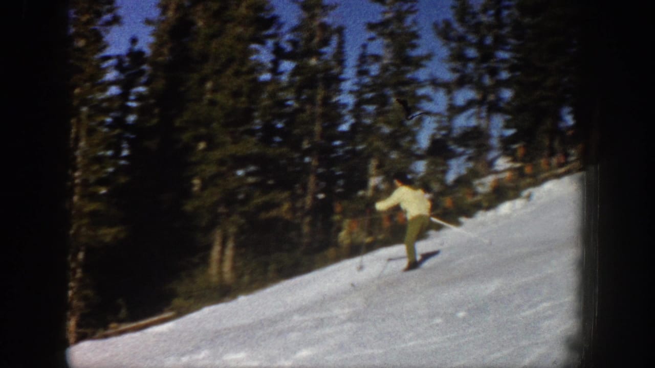 A skier leans into a gentle traverse on a snow-covered Aspen slope, backed by dense evergreen trees and blue sky.
