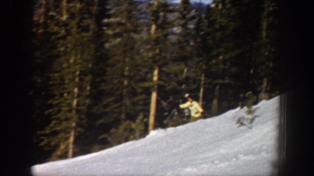 Distant woman skier on a bright snowy slope near tall trees.