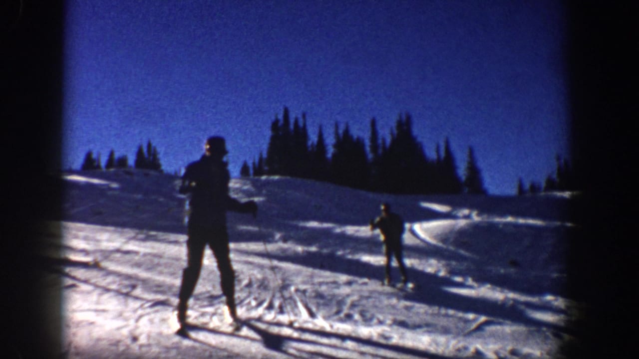 Two skiers stand and move on a bright snowy hillside near a tree line.