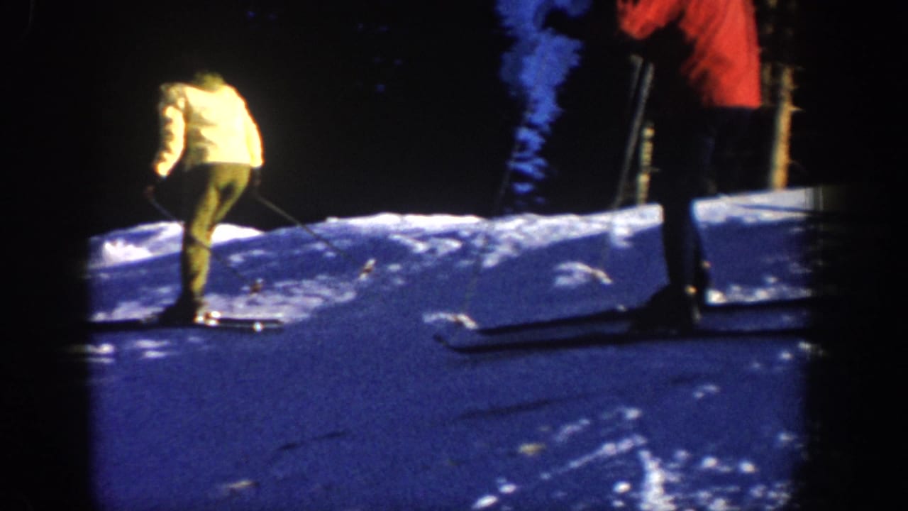Two skiers stand on a snowy slope near dark trees at night or in deep shadow.