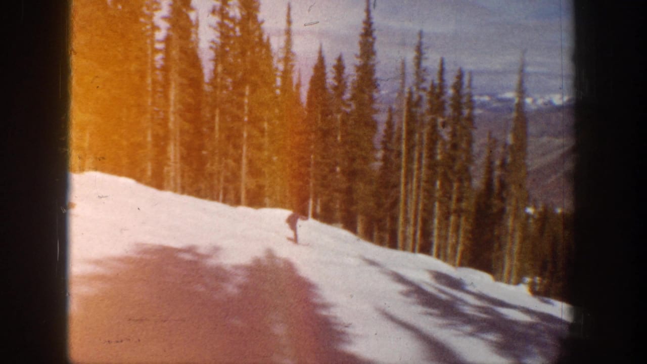 Lone skier on a snowy slope bordered by tall pine trees and distant mountains.