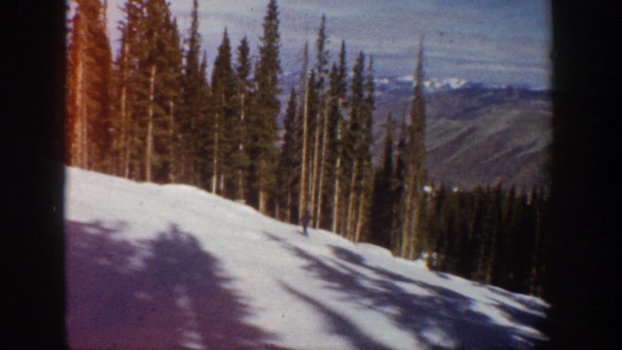 Snowy alpine slope with tall pines, shadows, and a small skier near the trees.