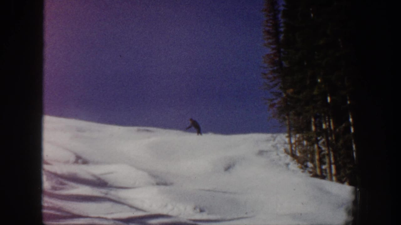 Skier near the ridge beside evergreen trees on a snowy mountain slope.