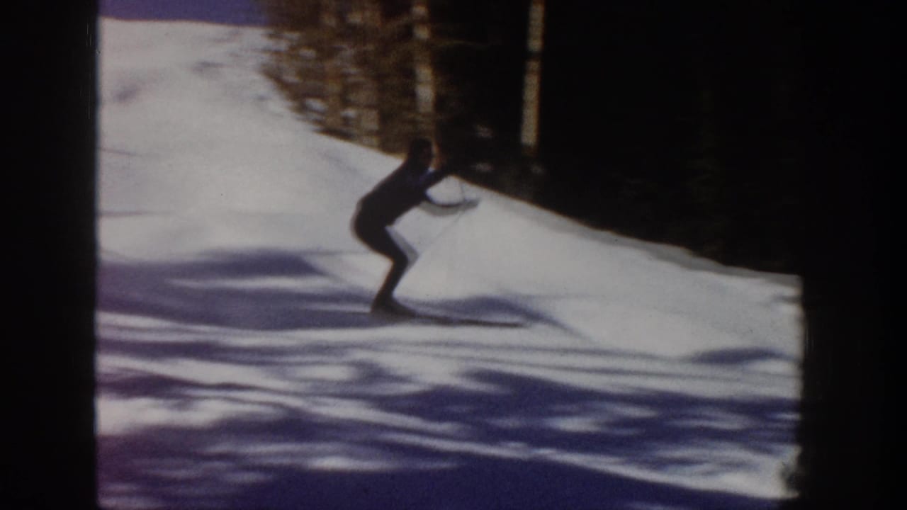 Distant skier on a snowy slope beside dark evergreen trees.