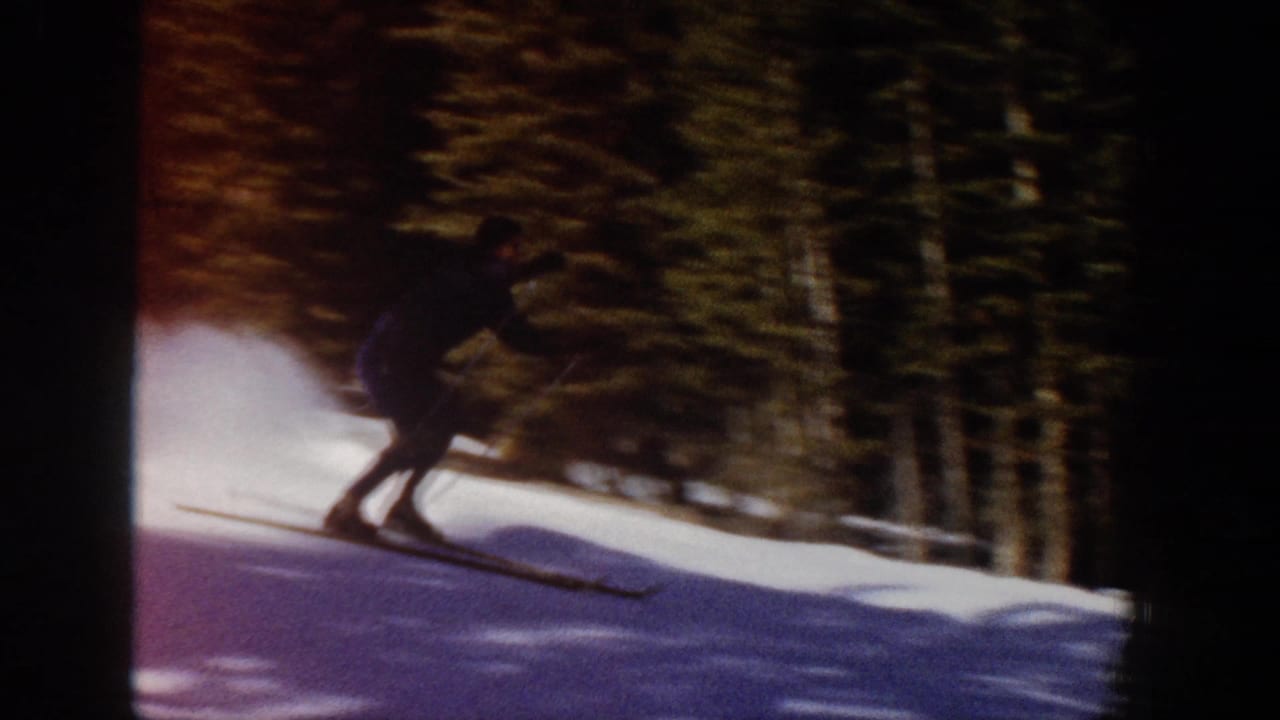 Skier in a dark blue outfit turns downhill on snow near trees.