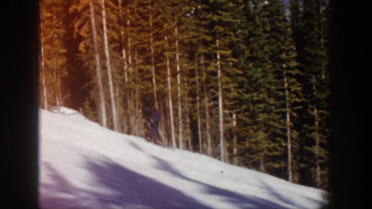 Skier partly framed by trees on a bright snowy hillside.