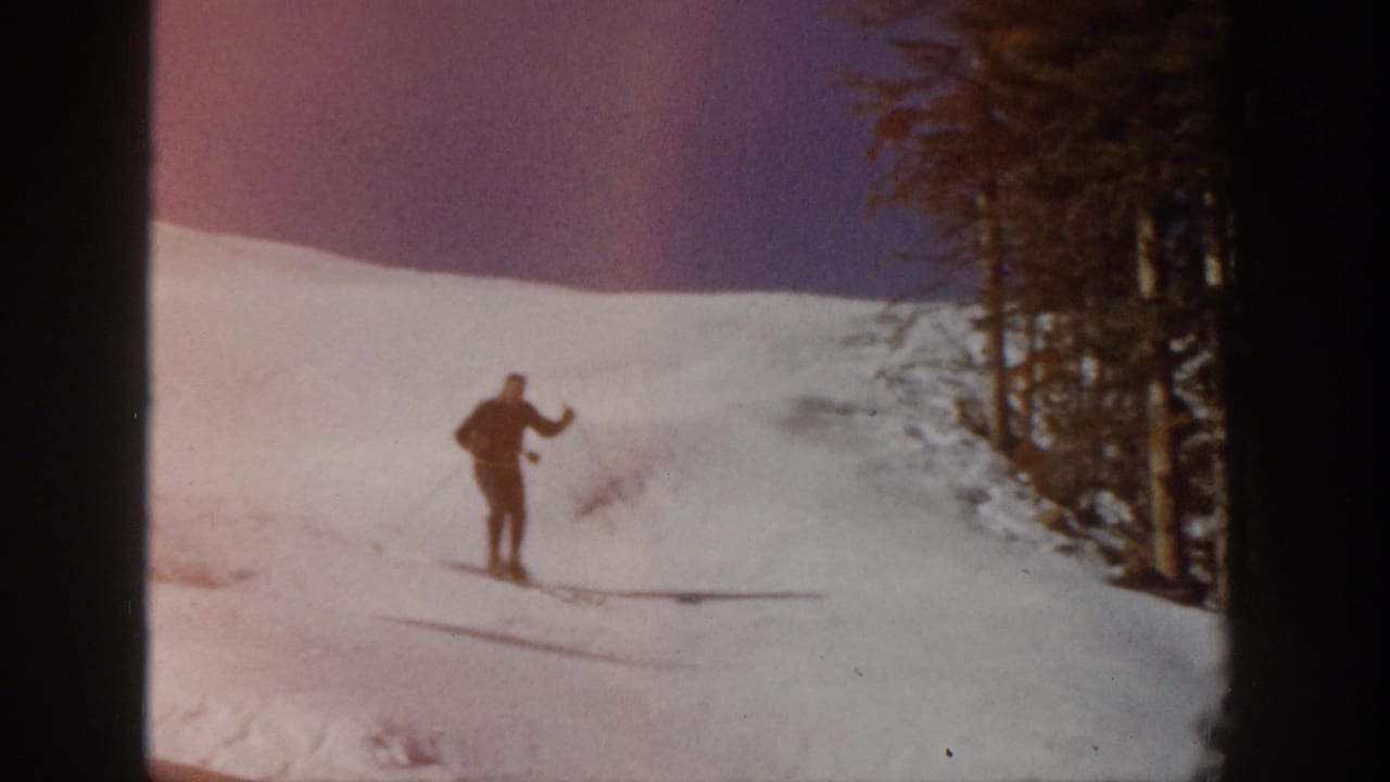Skier descends a snowy rise near a line of evergreen trees.