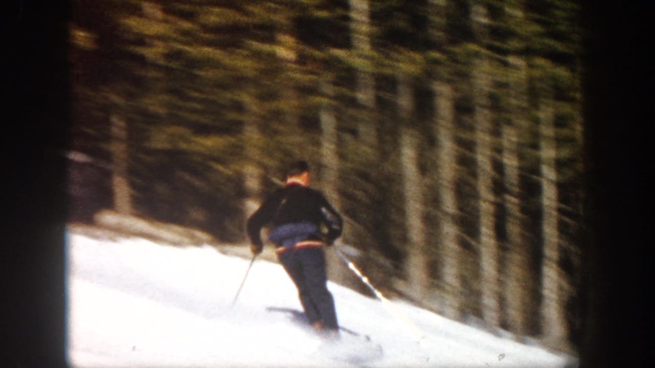 Skier seen from behind descending a snowy forested run.