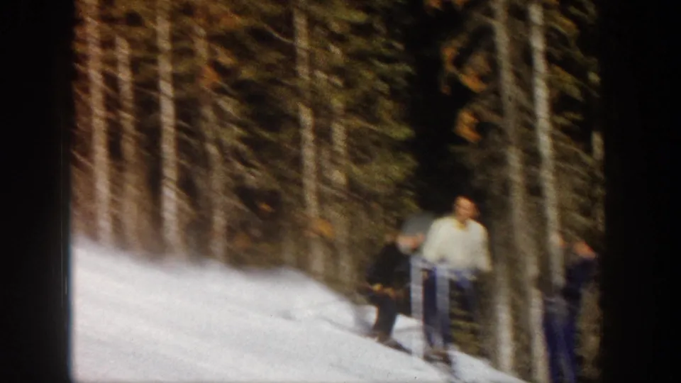 Aspen ski-slope frame with bystanders or companions standing near the forest while a skier moves past.