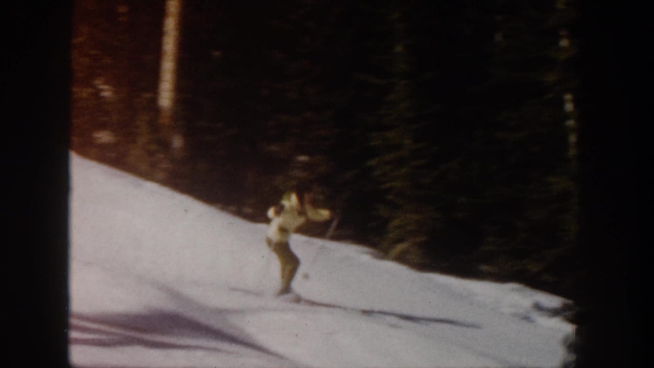 Skier descends near dark evergreen trees at the edge of a snowy slope.