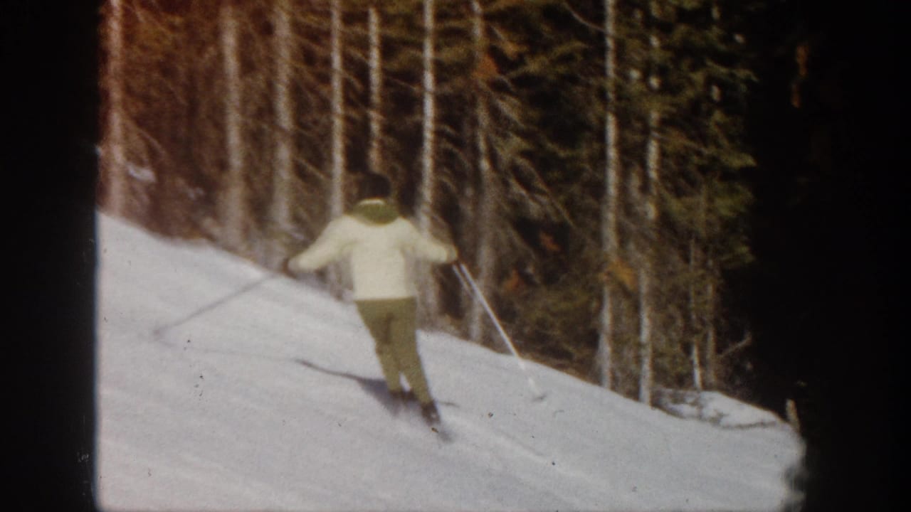 Rear view of a skier moving downhill through snow with trees along the slope.