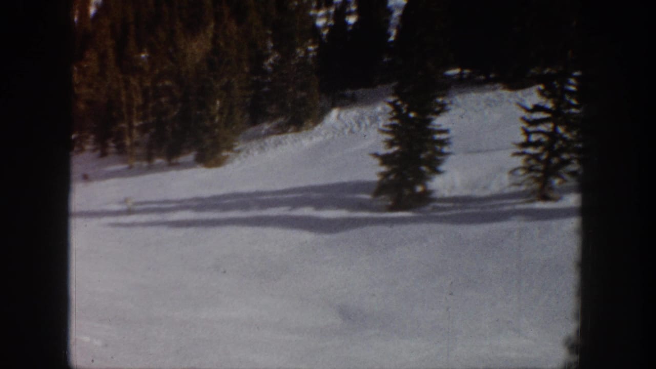 Evergreen-lined snowy slope seen through dark film borders.