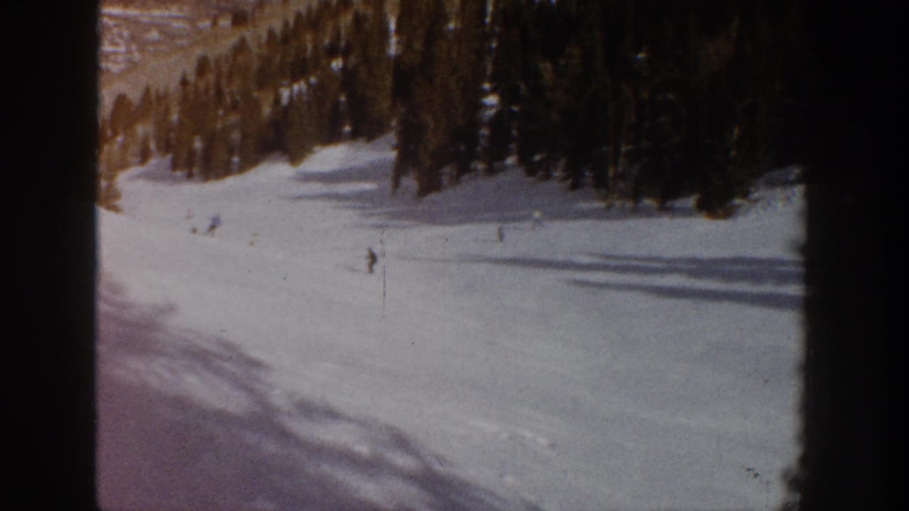 Skiers descend and stand on a snowy run with trees along the upper edge.