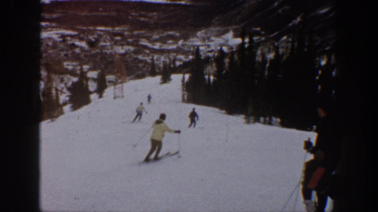 Several skiers move downhill on a snowy run with trees lining the right side.