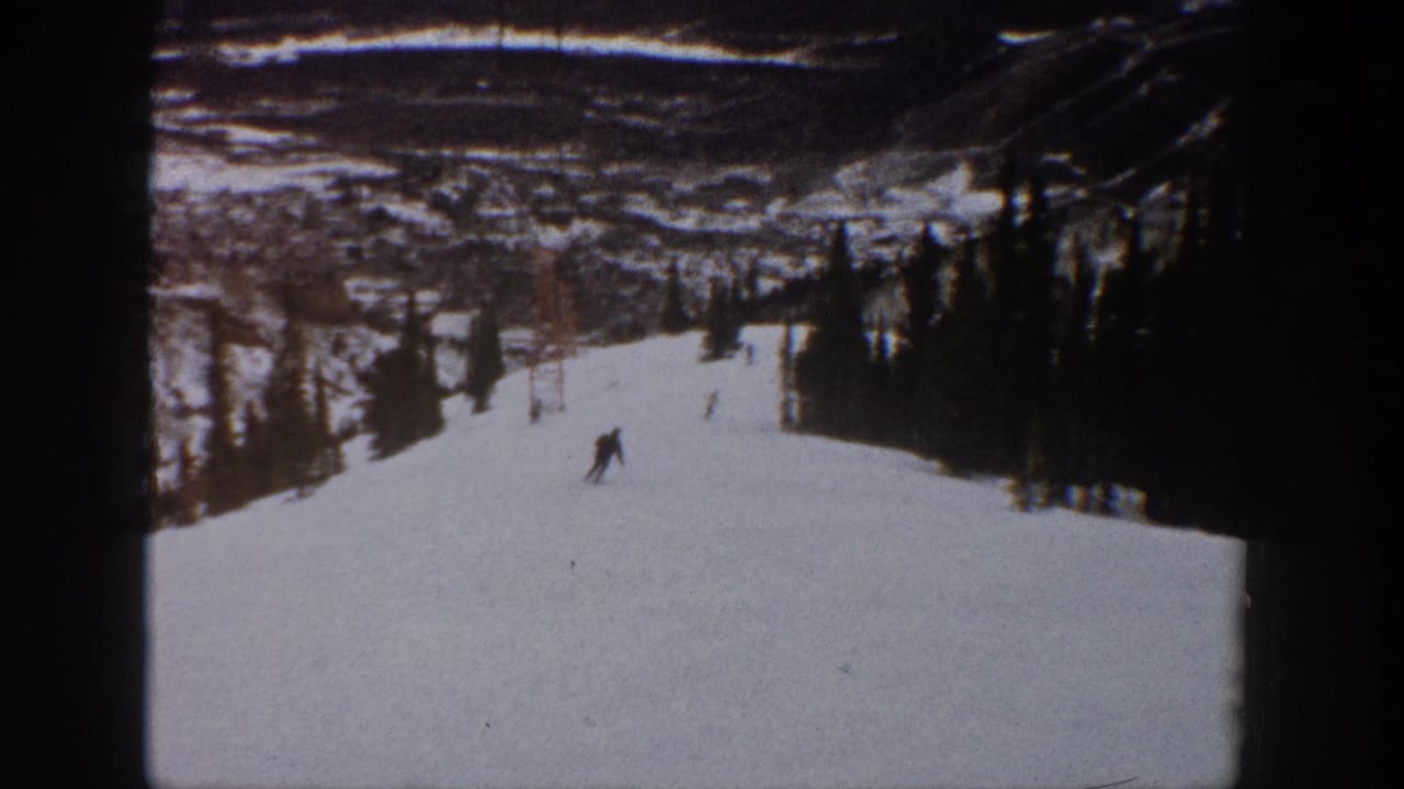 Small skier on a broad white ski run with trees along both sides.