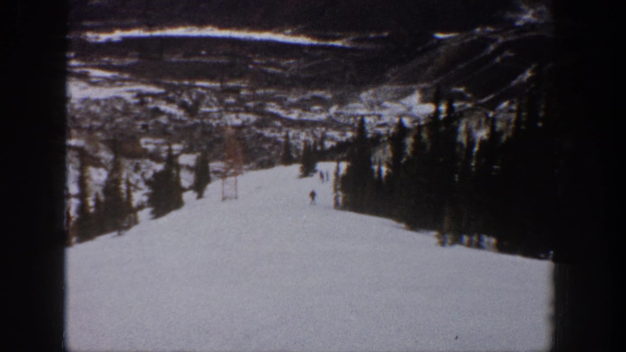 A skier travels down a wide snowy slope beside dark evergreen trees.