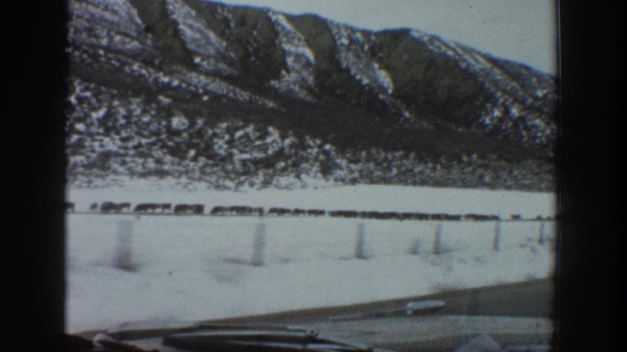 1961 Aspen, Colorado frame from inside a moving car, looking past the dashboard toward livestock and snowy mountain terrain.