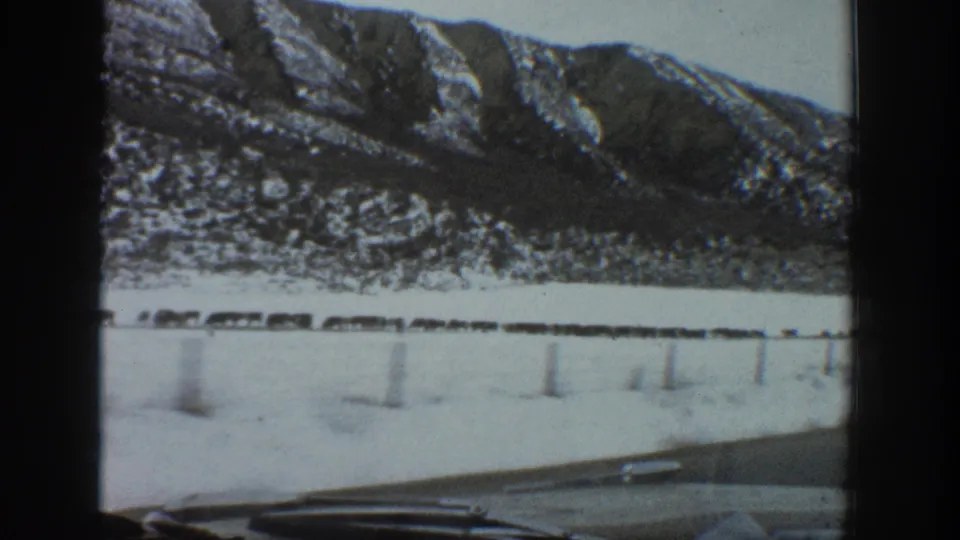 1961 Aspen, Colorado frame from inside a moving car, looking past the dashboard toward livestock and snowy mountain terrain.