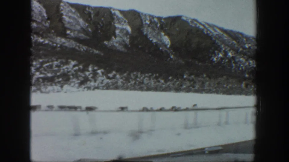 1961 Aspen, Colorado frame with a dashboard foreground, snowy fence line, distant livestock, and rugged winter mountains.