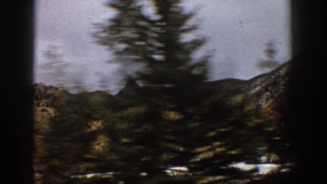 Evergreen tree blurs past snowy hillside and distant ridge.