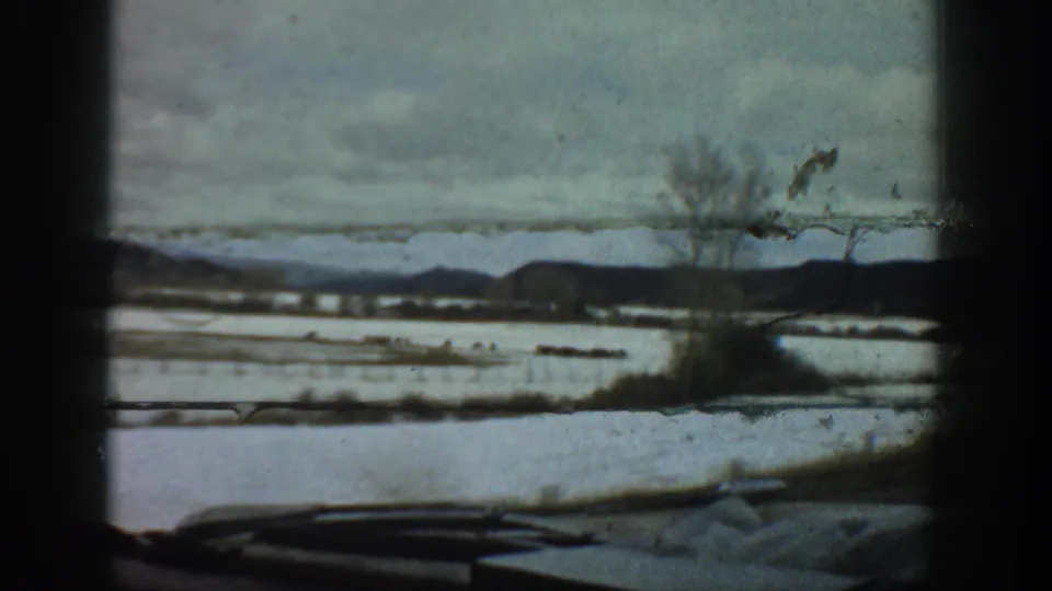 Aspen-area winter landscape from a moving vehicle, showing snow-covered ground, a bare tree, distant hills, and the car hood.