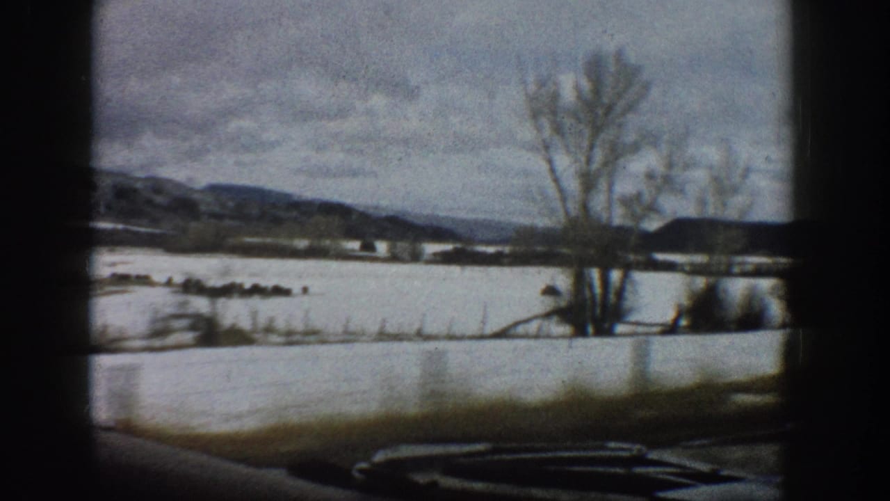 Bare tree beside snowy water and low mountains, with part of a car dashboard visible at the bottom.