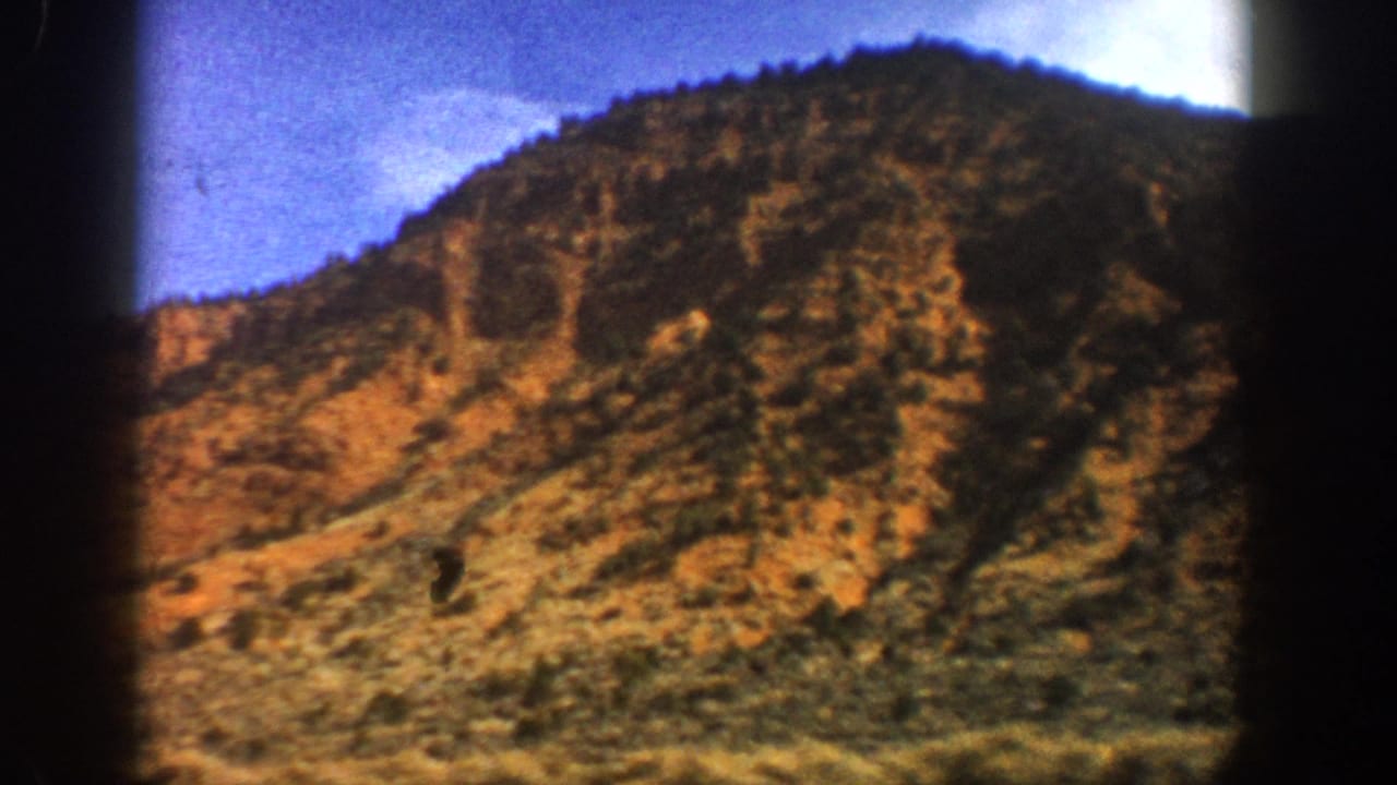 Rugged hillside with orange rock, scattered brush, and dark trees along the ridge.