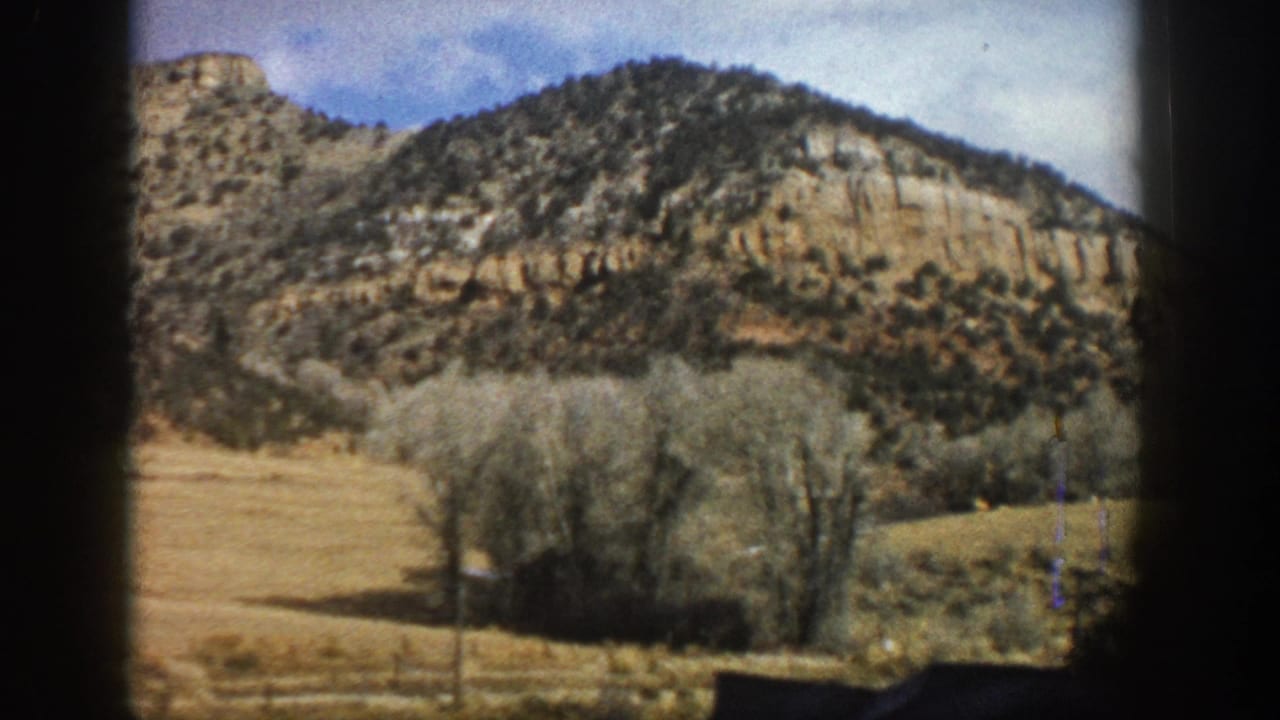 Tree-dotted hillside above open grass and a small cluster of bare trees.