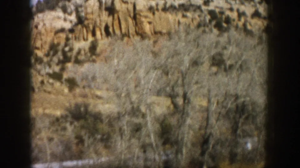 Vehicle-passenger view in 1961 Aspen, Colorado, with blurred bare trees crossing the foreground before tan rock layers and scrub vegetation.