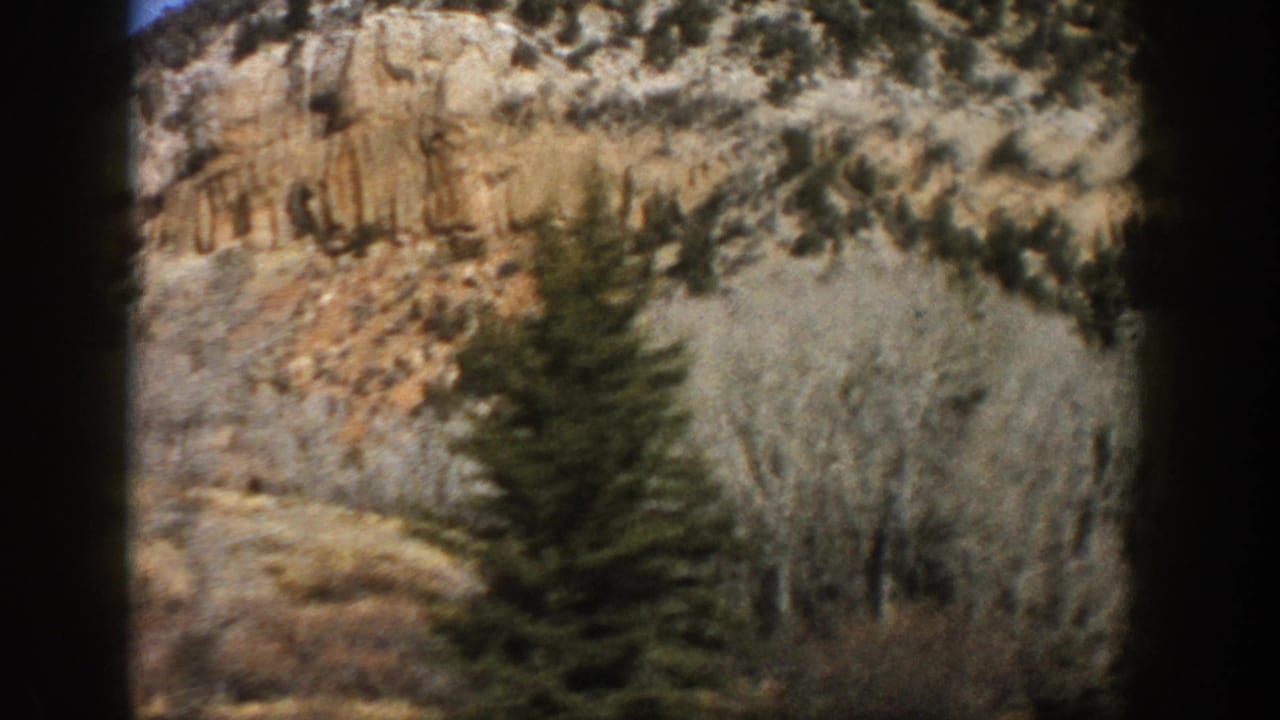1961 Aspen, Colorado home-movie frame showing roadside evergreens, pale aspen trunks, and a rocky slope beyond.