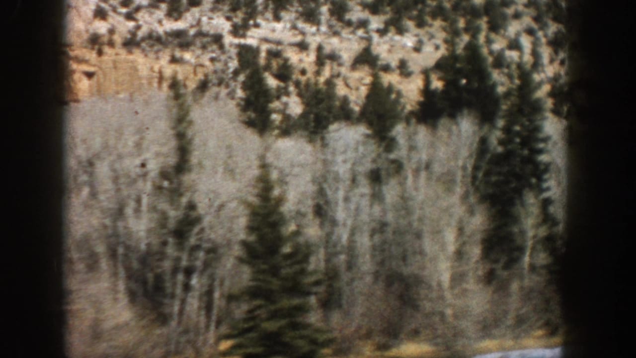 Aspen-area mountain scenery with pale tree trunks, evergreens, and a tan rocky slope in a soft 8mm frame.
