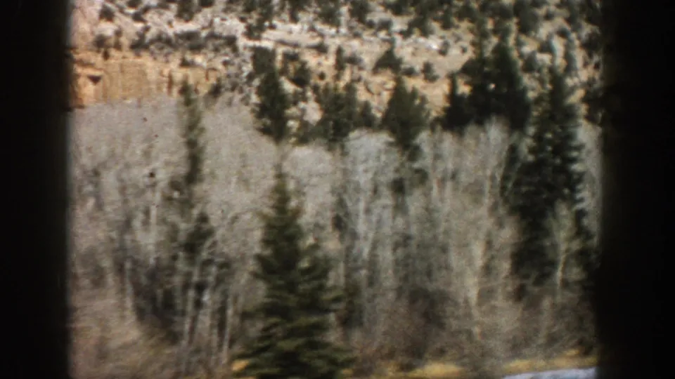 Aspen-area mountain scenery with pale tree trunks, evergreens, and a tan rocky slope in a soft 8mm frame.